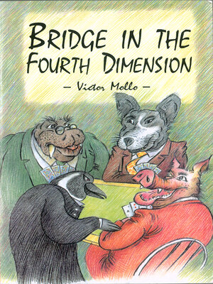 cover image of Bridge In the Fourth Dimension